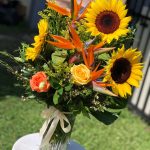 Sunshine